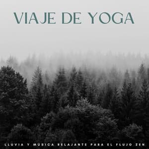 Viaje De Yoga: Lluvia Y Música Relajante Para El Flujo Zen - Sonidos de Lluvia 24H