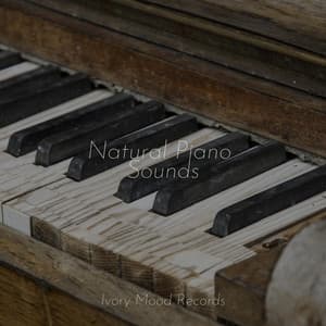 Natural Piano Sounds - Ivory Mood