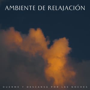 Ambiente De Relajación: Duerme Y Descansa Por Las Noches - Canticuenticos
