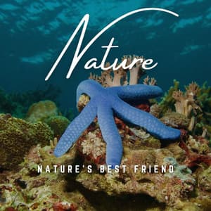 Nature's Best Friend: Melodic Moments - Nature Vibrations