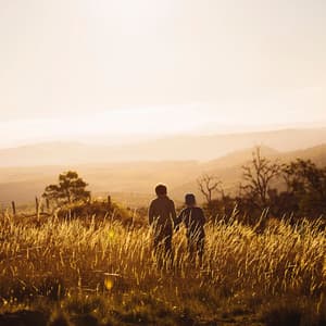 Melodic Fantasies - Arctic Comfort