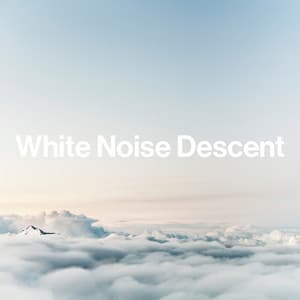 White Noise Descent - Best Noise