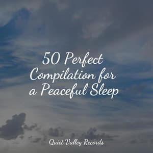 50 Perfect Compilation for a Peaceful Sleep - Sounds of Nature Relaxation