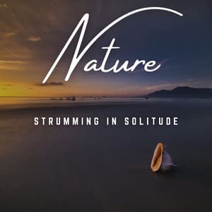 Strumming in Solitude: Acoustic Tranquility - TransferX