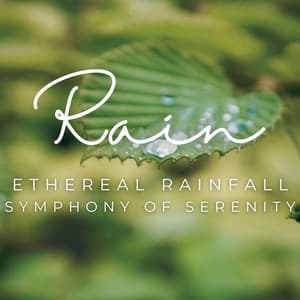 Ethereal Rainfall: A Symphony of Serenity - Rain Noise Sleep