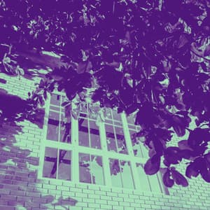 Music for Private Monday - Jazz-hop - Lofi Chill and Study