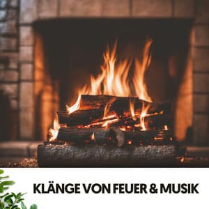 Klänge von Feuer & Musik: Brennende Melodien unter dem Mond - Dog Relaxation