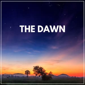 The Dawn - Worldwide Nature Studios