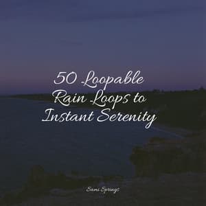 50 Loopable Rain Loops to Instant Serenity - Deep Focus