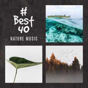 # Best 40: Nature Music for Relaxation, Meditation, Spa, Wellness & Deep Sleep - Sounds Effects Academy