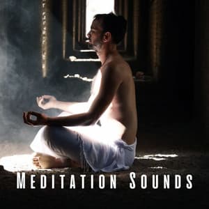 Meditation Sounds: Lofi Tracks for Mindful Moments - Flow Zen Silent