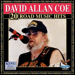 20 Road Music Hits - David Allan Coe