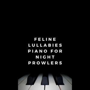 Feline Lullabies: Piano for Night Prowlers - Piano Lullaby Experts