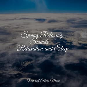 Spring Relaxing Sounds | Relaxation and Sleep - Sleep Sounds of Nature