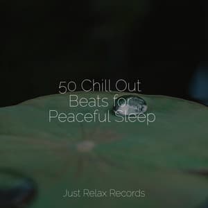 50 Chill Out Beats for Peaceful Sleep - Sonidos De Lluvia y Tormentas