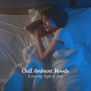 Chill Ambient Moods: A Serenity Night of Sleep - Relax in Nature