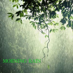 Morning Rain - Deep Sleep Rain Sounds
