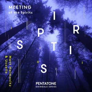 Meeting of the Spirits - Matt Haimovitz