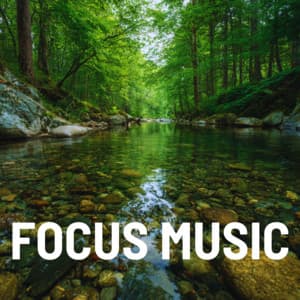 Gentle Crackling Fire and Ocean Breeze Sounds - Focus Music