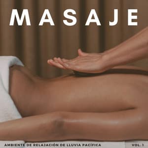 Masaje: Ambiente De Relajación De Lluvia Pacífica Vol. 1 - Lluvia - Lluvia de primavera