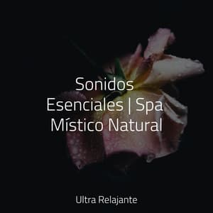 Sonidos Esenciales | Spa Místico Natural - Master Meditação