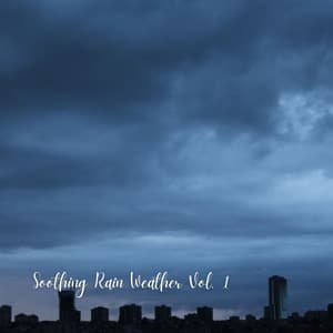 Soothing Rain Weather Vol. 1 - Natures Acoustics