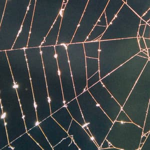 100 Horrors: A Bad Lucid Dream - Halloween Music