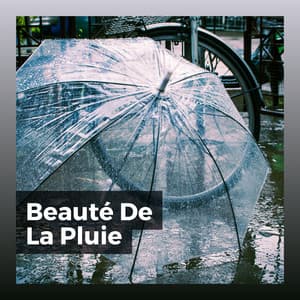 Beauté De La Pluie - Hi-Def FX