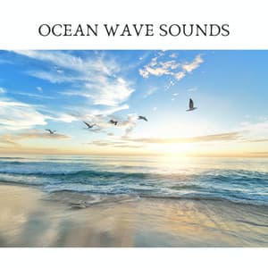 Ocean Wave Sounds - ASMR Earth