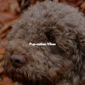 Pup-cation Vibes - Jazz Music for Studying