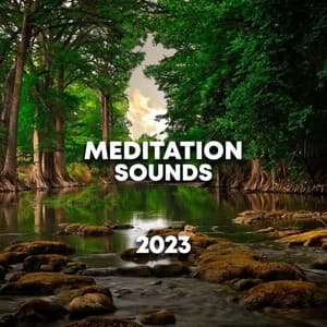 Meditation Sounds 2023 - Sounds Of The Sea