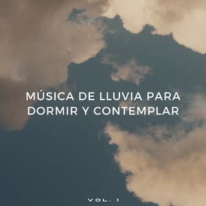 Música De Lluvia Para Dormir Y Contemplar Vol. 1 - Lluvia tranquila para dormir