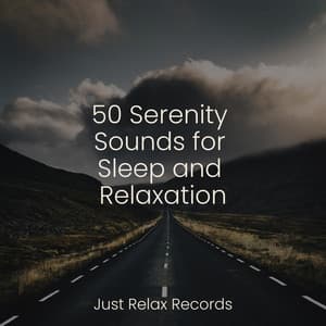 50 Serenity Sounds for Sleep and Relaxation - Reiki Music