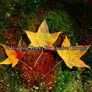 78 Inspiring Tracks For Creative Thought - Nature Sounds Meditation
