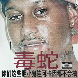 你们这些胆小鬼连可卡因都不会抽 - Viper