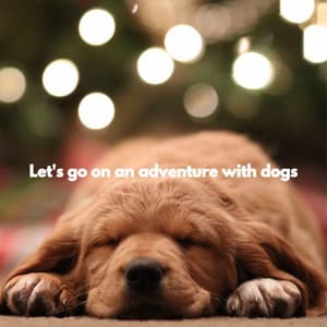 Let's go on an adventure with dogs - Música de la Oficina
