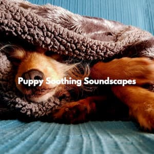 Puppy Soothing Soundscapes - Playlist Musica para Leer