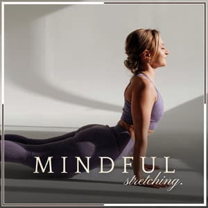 Mindful Stretching - The Yoga Studio