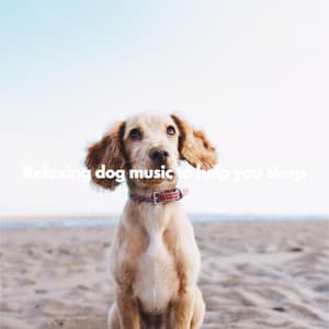 Relaxing dog music to help you sleep - Morning Jazz