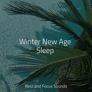 Winter New Age Sleep - Deep Focus