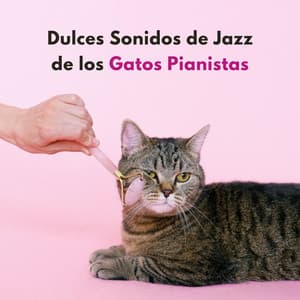 Dulces Sonidos De Jazz De Los Gatos Pianistas - Gato de piano