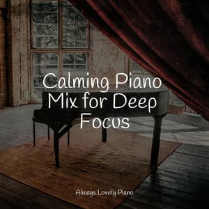 50 Ambient Sounds for Reading - Calm Music for Studying