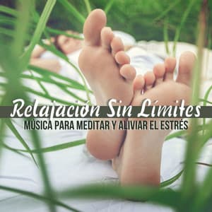 Relajación Sin Límites: Música para Meditar y Aliviar el Estrés - Auto-hipnosis