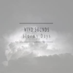 Stormy Days - Wind Sounds