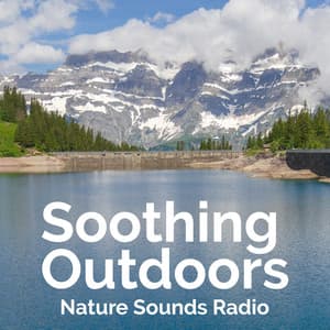 Soothing Outdoors - Nature Sounds Radio
