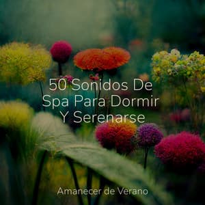 50 Sonidos De Spa Para Dormir Y Serenarse - Dormir