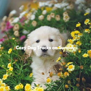 Cozy Dog Tracks on Sunday - Breakfast Lounge Music
