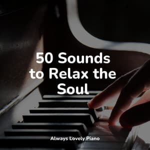 50 Sounds to Relax the Soul - Piano Relaxation Maestro