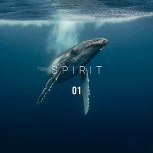 Spirit 01 - Sounds Of The Sea