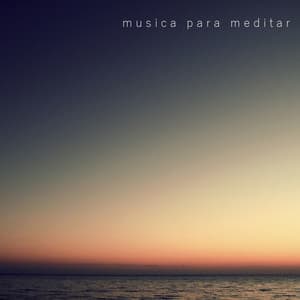 Musica Para Meditar - Alejandro Juárez